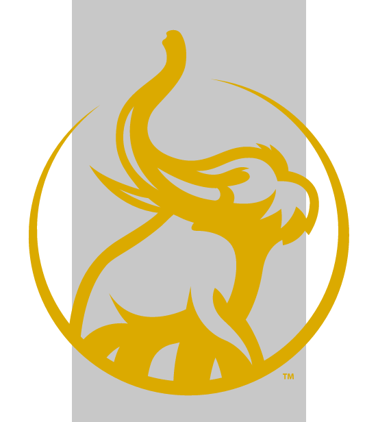 mastodon head inside circle, gold outline variant, cell 36