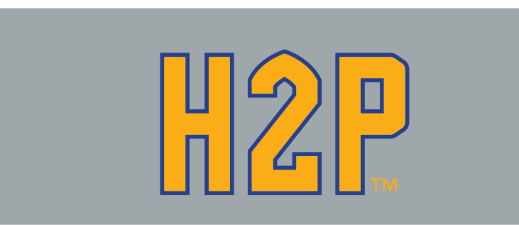 H2P, gold with blue outline on light grey, TM variant, cell 32