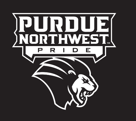 Purdue Northwest Pride logo, white/gold on black variant, cell 4