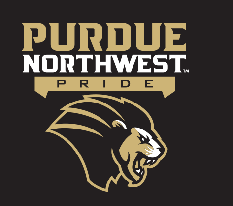 Purdue Northwest Pride logo, gold/black on black variant, cell 7