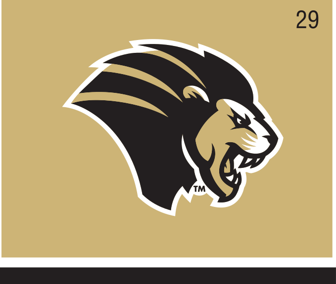 mascot head, color on gold variant, cell 29