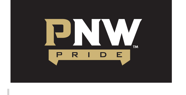 PNW Pride wordmark, gold on black variant, cell 48