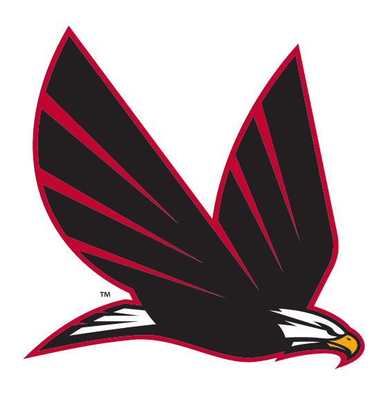 eagle in flight, full color variant, cell 7