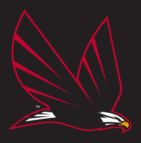 eagle in flight, full color on black variant, cell 8