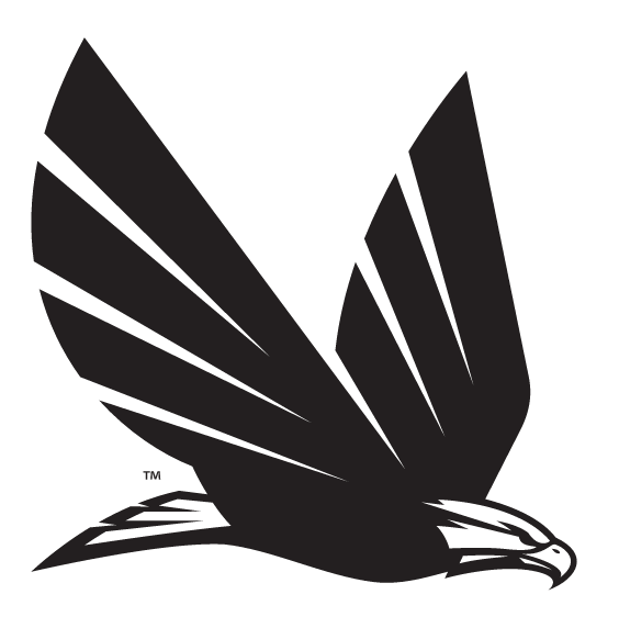 eagle in flight, black and white variant, cell 10