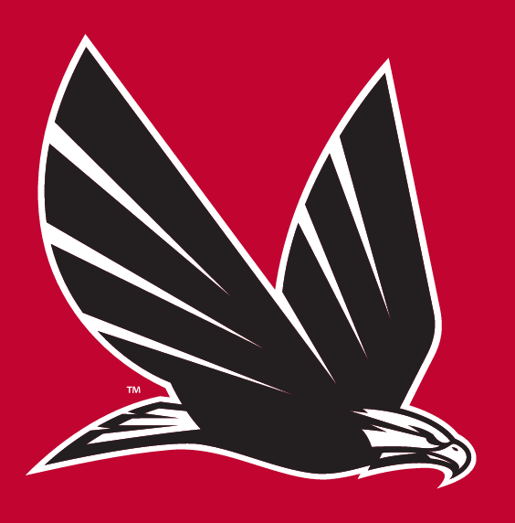 eagle in flight, black and white on red variant, cell 12