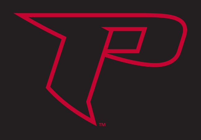 letter P, full color on black variant, cell 14