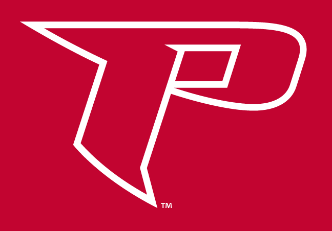 letter P, black and white on red variant, cell 18