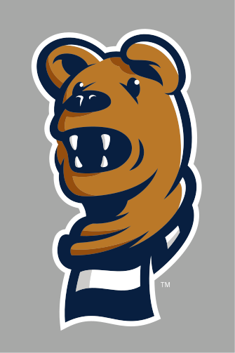 mascot head mark, full color variant, cell 42
