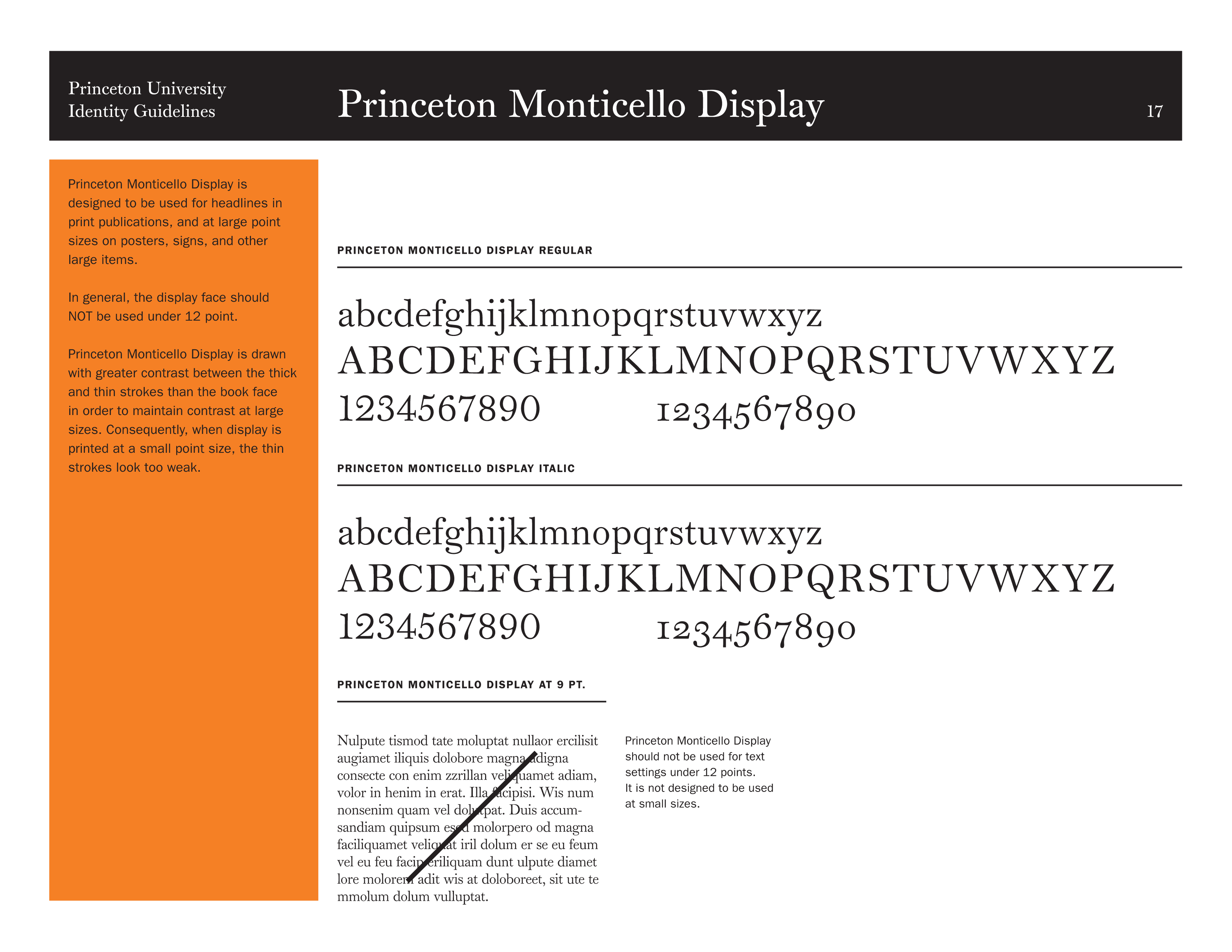 Full Page Guideline Sheet, Standard variant