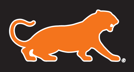 tiger silhouette, outlined orange, black outline variant, cell 2