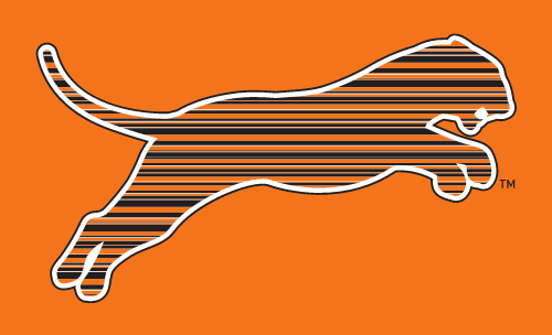 tiger silhouette, outlined orange, white outline variant, cell 2