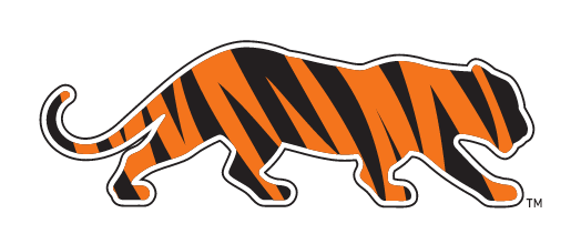 tiger silhouette, pattern-filled, black and orange stripes variant, cell 3