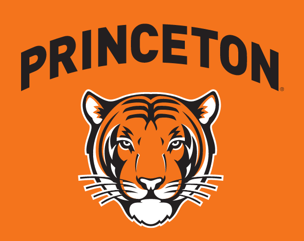 Princeton logo, black text with full color tiger head on orange background variant, cell 4