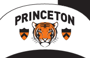 Princeton logo, full color variant