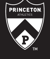 Princeton Shield, one color on dark background variant, cell 6