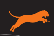Leaping Tiger logo, orange variant