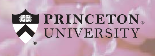 Princeton University logo, black and white on pastel background variant