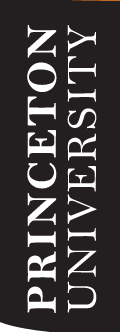 Princeton University, stacked wordmark, white variant