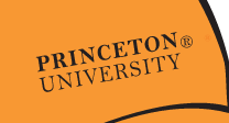PRINCETON UNIVERSITY, black variant