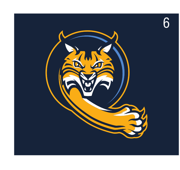 Swiper mascot, full color, navy background variant, cell 62