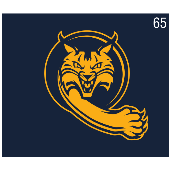 Swiper mascot, gold, navy background variant, cell 65