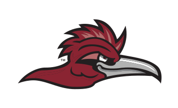 Roadrunner mascot head, color variant, cell 15
