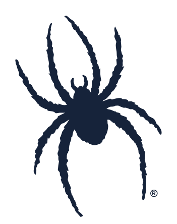 Silhouette Spider, black variant, cell 22