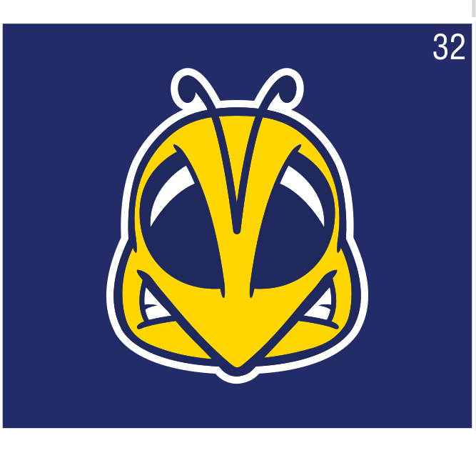 Rocky head, yellow/blue on blue variant, cell 32