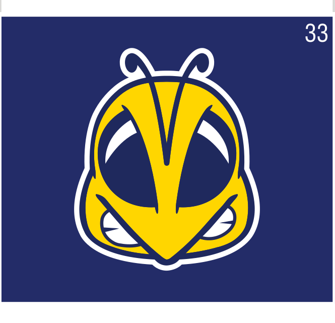 Rocky head, yellow/blue on blue variant, cell 33