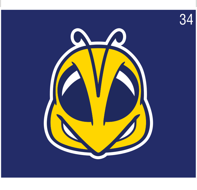 Rocky head, yellow/blue on blue variant, cell 34