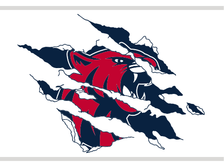 jumping mascot head, full color variant, cell 34