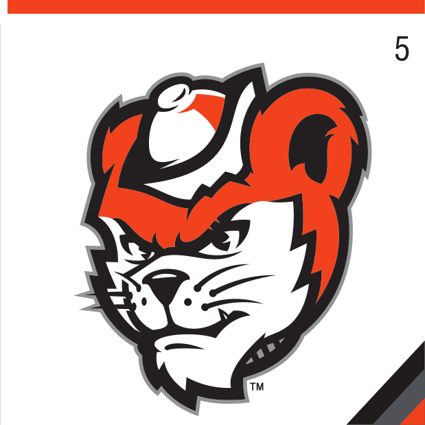 Mascot Mark (Head), color variant, cell 5