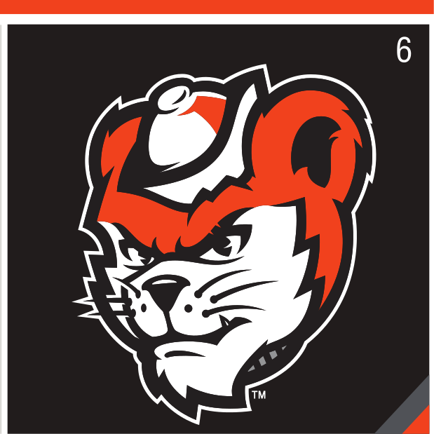 Mascot Mark (Head), color on black variant, cell 6