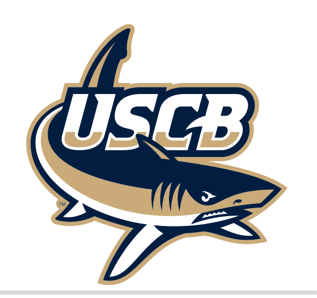 USCB Sand Sharks secondary logo, full color variant, cell 3