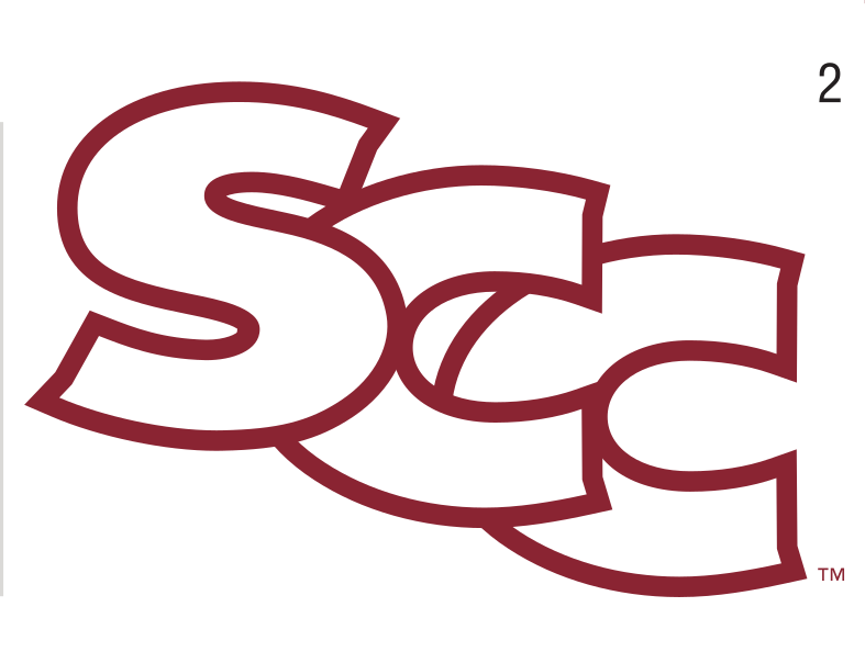 SCC, red outline variant, cell 2