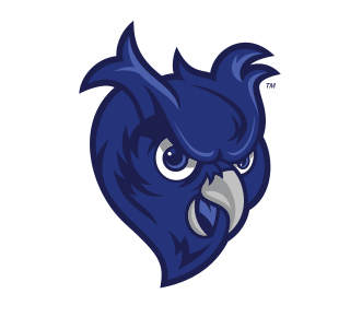 owl head, blue variant, cell 17