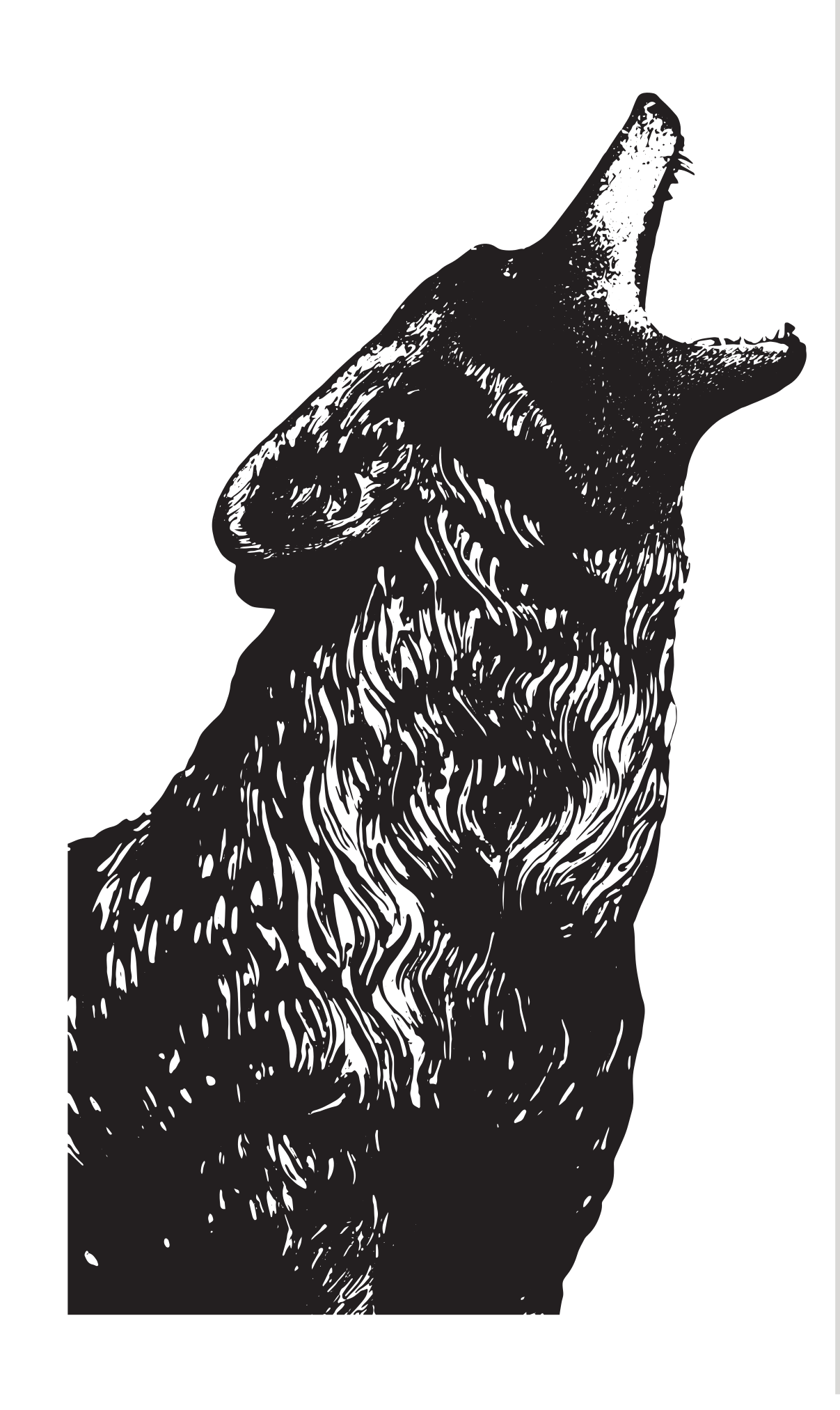 howling coyote head, black and white detailed variant