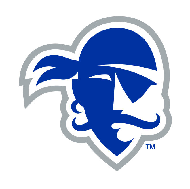 Pirate head, blue/white/grey on white variant, cell 21