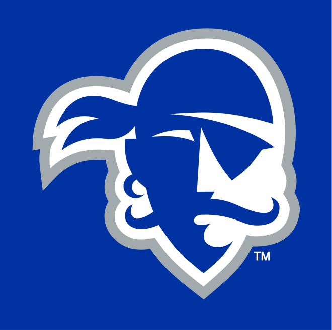 Pirate head, white/grey on blue variant, cell 22