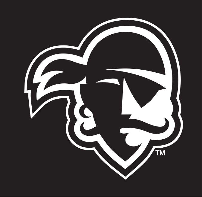 Pirate head, white/grey on black variant, cell 24