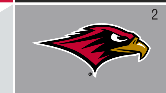 Redhawk mascot head, color on gray variant, cell 24