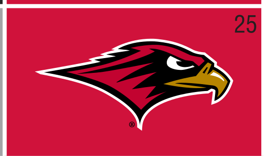 Redhawk mascot head, color on red variant, cell 25