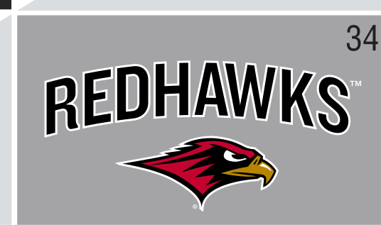Redhawks mascot lockup, color on gray variant, cell 34