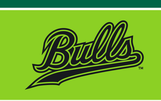 Bulls script, black/slime on slime variant, cell 18