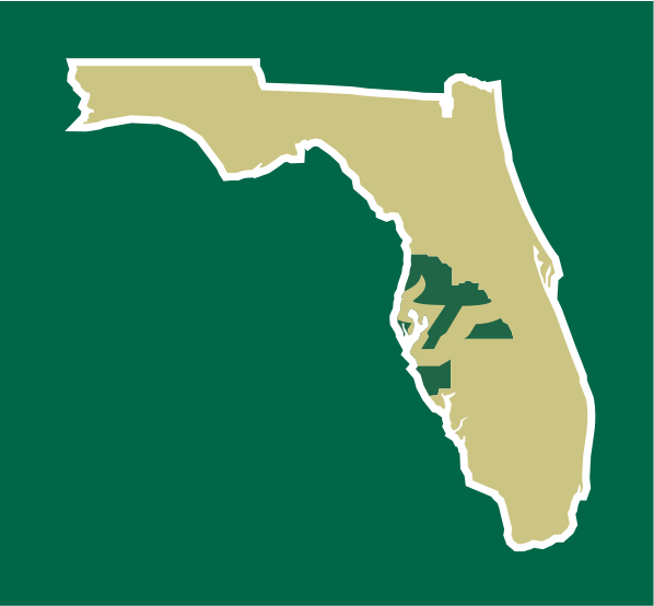 State Icon Mark, green and gold split variant, cell 41