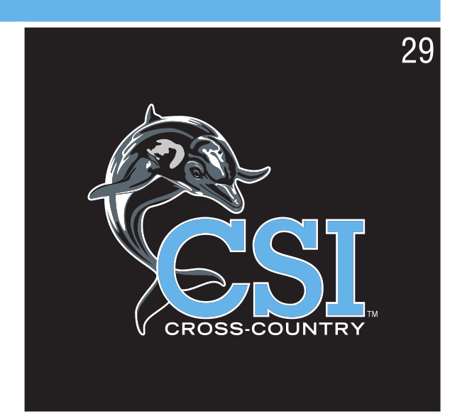 CSI dolphin logo, Cross-Country, black background variant, cell 29