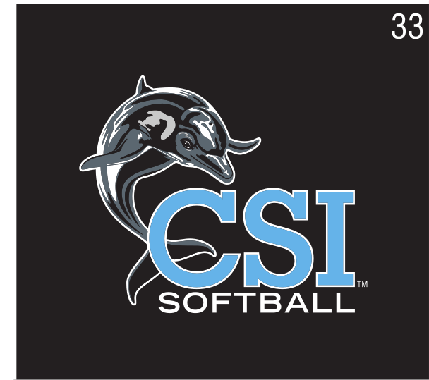 CSI dolphin logo, Softball, black background variant, cell 33