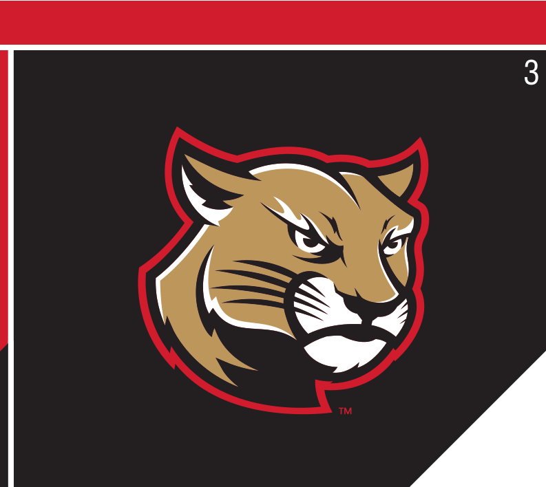 Cougar head logo, full color on black variant, cell 3