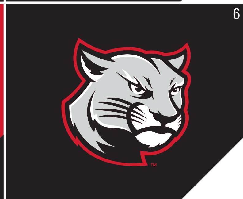 Cougar head logo, grey on black variant, cell 6